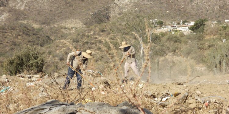 Servicios Públicos Municipales de Los Cabos  atiende reportes ciudadanos ante basureros clandestinos en Col. Vista Hermosa Plus