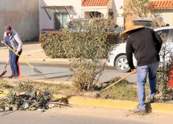 Realizan labores de aseo y retiro de residuos en colonia Colinas Plus, en San José del Cabo