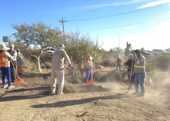 Refuerza Ayuntamiento de Los Cabos jornadas sabatinas de limpieza en puntos estratégicos
