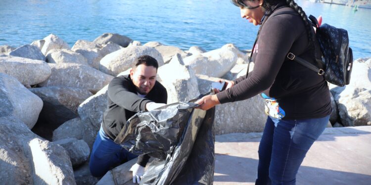 Realiza Zofemat jornada de limpieza en playa El Médano en Cabo San Lucas