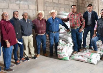 Apoya Gobierno a productores de La Paz con alimento para ganado bovino