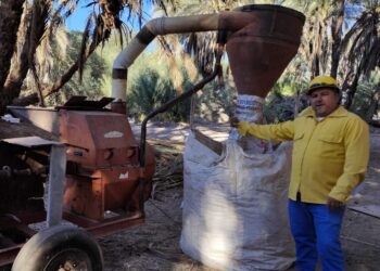 Continúan las actividades de prevención de incendios en el Oasis de Mulegé: SEPUIMM