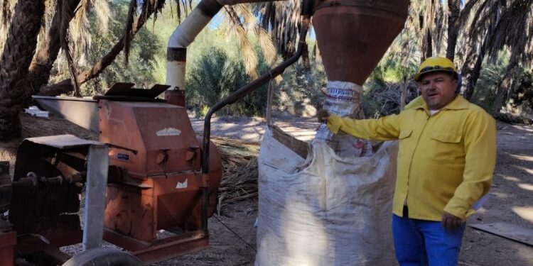 Continúan las actividades de prevención de incendios en el Oasis de Mulegé: SEPUIMM