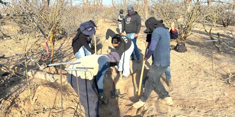 Con trabajo coordinado entre los tres órdenes de gobierno, colectivo y familiares, localizan inhumaciones clandestinas en La Paz