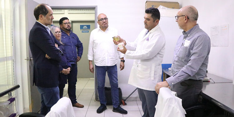 Contribuirá BCS en la implementación de la estrategia nacional para el control del dengue