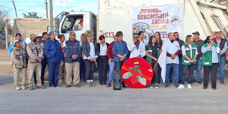 Realizan jornada de descacharrización contra el dengue en Comondú