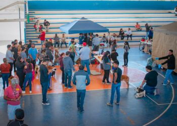 REFUERZA AYUNTAMIENTO DE MULEGÉ LA SALUD PÚBLICA CON EXITOSA CAMPAÑA DE ESTERILIZACIÓN