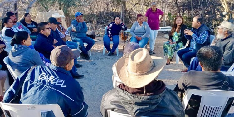 Impulsan capacitación y desarrollo de micronegocios en comunidades rurales