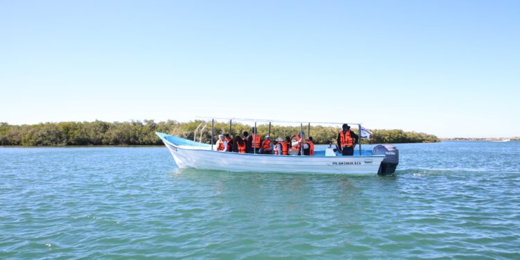 Puerto Chale impulsa el turismo sustentable con actividades todo el año