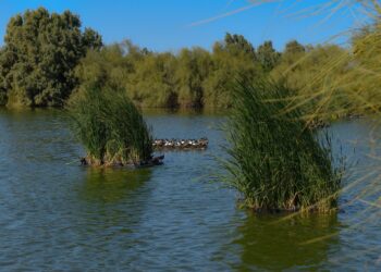 Eco parque, un espacio para el turismo natural y deportivo en La Paz
