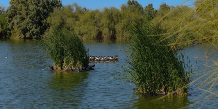 Eco parque, un espacio para el turismo natural y deportivo en La Paz
