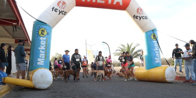 Gran éxito de la carrera-paseo “Canicross Etocane K-9, BCS” en la UABCS
