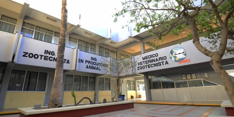 UABCS celebra 49 años de trayectoria académica y compromiso social