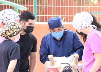 UABCS participa en jornada de esterilización y vacunación canina y felina 