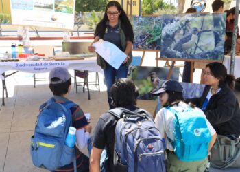 UABCS invita al Segundo Festival de las Aves Playeras