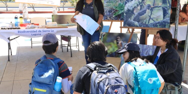 UABCS invita al Segundo Festival de las Aves Playeras