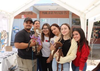 UABCS promueve la adopción responsable de perros y gatos con feria de sensibilización