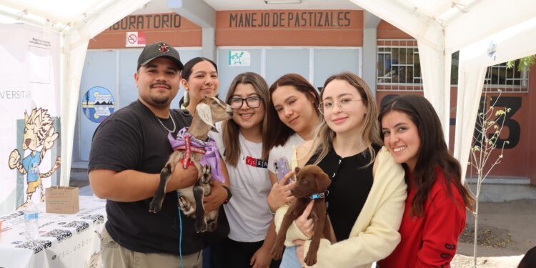 UABCS promueve la adopción responsable de perros y gatos con feria de sensibilización