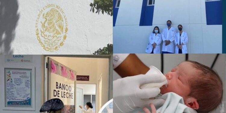 Bancos de Leche Materna: Un Paso Necesario para la Salud Neonatal en Baja California Sur – Brújula Política Octava Edición