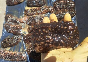 POR DELITO CONTRA LA BIODIVERSIDAD, FGR OBTIENE VINCULACIÓN A PROCESO CONTRA UNA PERSONA EN BCS