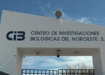 Renuncia Secretaria del Interior del Sindicato del Cibnor por clima laboral hostil