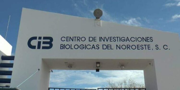 Renuncia Secretaria del Interior del Sindicato del Cibnor por clima laboral hostil