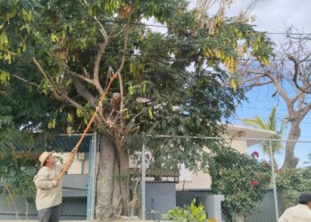 Atiende Ayuntamiento de Los Cabos peticiones ciudadanas a través de la Coordinación de Subdelegaciones