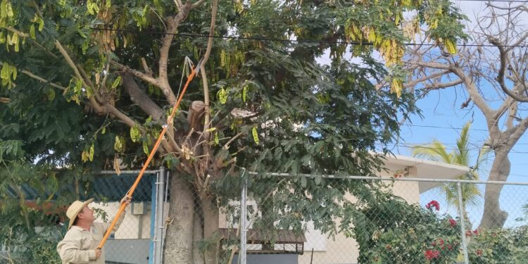 Atiende Ayuntamiento de Los Cabos peticiones ciudadanas a través de la Coordinación de Subdelegaciones