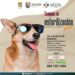 Anuncian campaña de esterilización canina y felina en Cabo San Lucas; será este 27 y 28 de marzo 