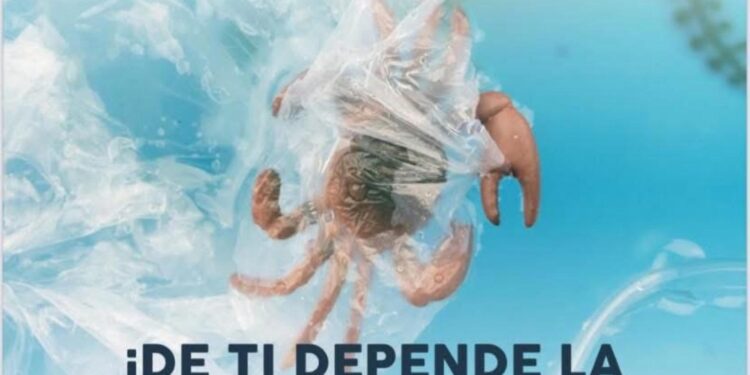 Invitan a sumarse a jornada de limpieza de arroyos en Los Cabos