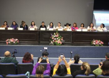 Anuncia Instituto de las Mujeres de Los Cabos proyectos de colaboración a nivel nacional 