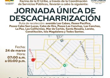 Realizarán jornada de descacharrización en colonia Los Cangrejos, en Cabo San Lucas