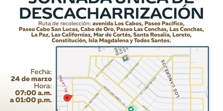 Realizarán jornada de descacharrización en colonia Los Cangrejos, en Cabo San Lucas