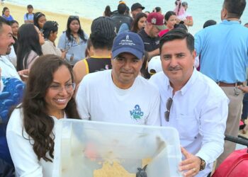  Liberan crías de tortugas Laúd y Golfina en la bahía de Cabo San Lucas  