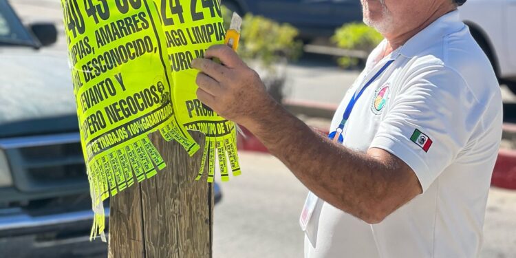 Continúan operativos contra publicidad invasiva en vía pública de Los Cabos
