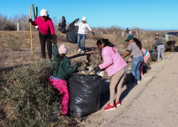 Llama delegada de Cabo San Lucas a no tirar basura en carreteras; continúa campaña de limpieza