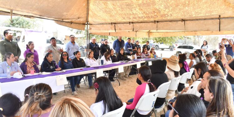 Celebran en Cabo San Lucas primera “Jornada Violeta” para combatir la violencia de género
