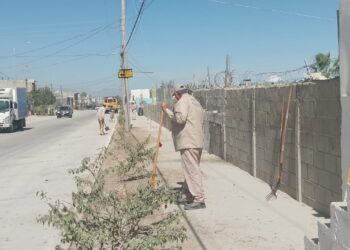Refuerzan trabajos de limpieza e iluminación en subdelegaciones de Los Cabos 
