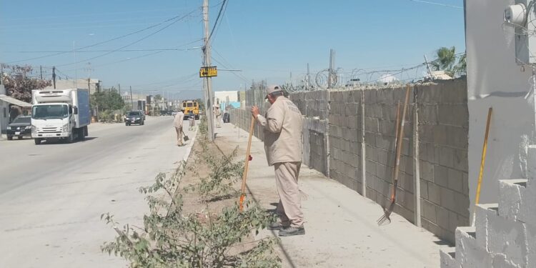 Refuerzan trabajos de limpieza e iluminación en subdelegaciones de Los Cabos 