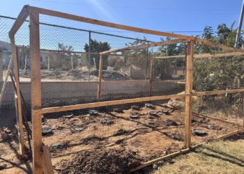 Concluyen con éxito primer huerto comunitario en Secundaria Técnica No. 19 de Cabo San Lucas