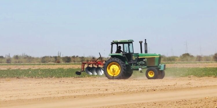 Fondo Social para el Desarrollo de BCS, un aliado de la economía sustentable 