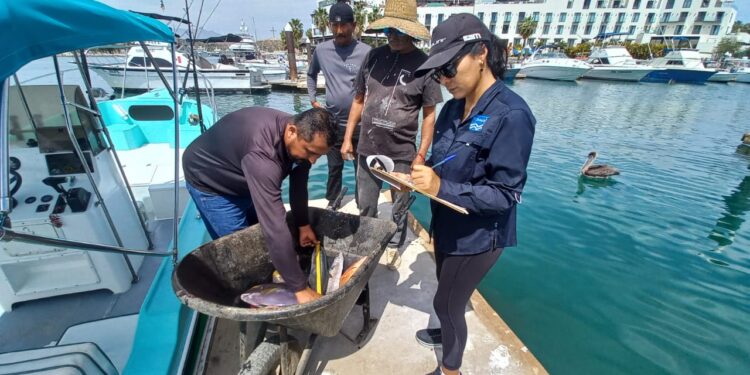 En marcha el programa de medición de pesca de IMIPAS-FONMAR