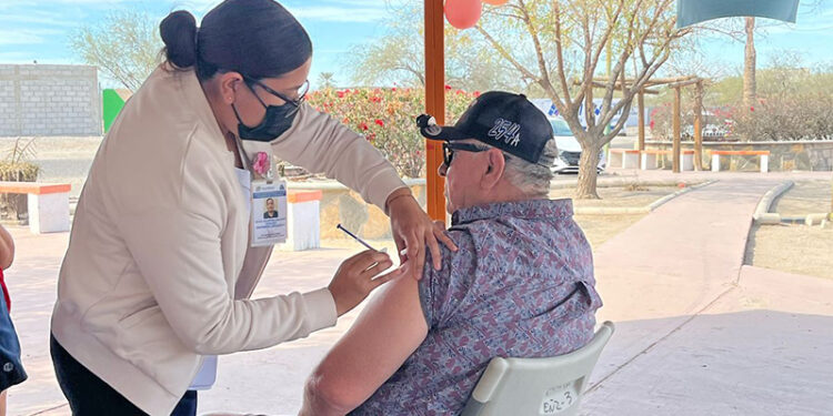El llamado a la población a replicar medidas para prevenir infecciones respiratorias: SSA