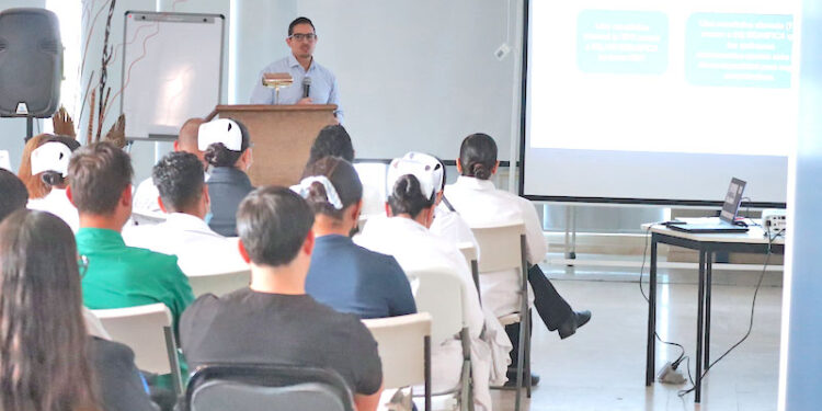 La importancia de adoptar estilos de vida saludable para prevenir enfermedades renales: SSA