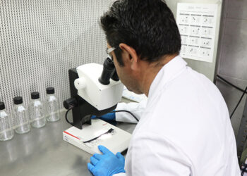Recibe BCS material biológico para fortalecer el combate al dengue