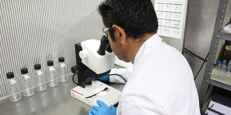 Recibe BCS material biológico para fortalecer el combate al dengue