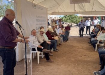 En marcha la primera siembra de forraje en Comondú: Víctor Castro