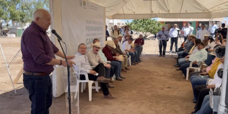 En marcha la primera siembra de forraje en Comondú: Víctor Castro