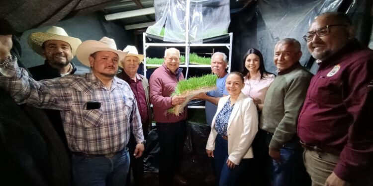 Convoca Castro Cosío a ganaderos de Loreto a enfrentar unidos la sequía