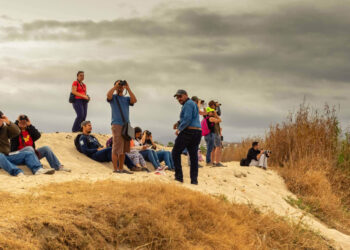 UABCS contribuye al reconocimiento de Los Cabos como “Bird City” 